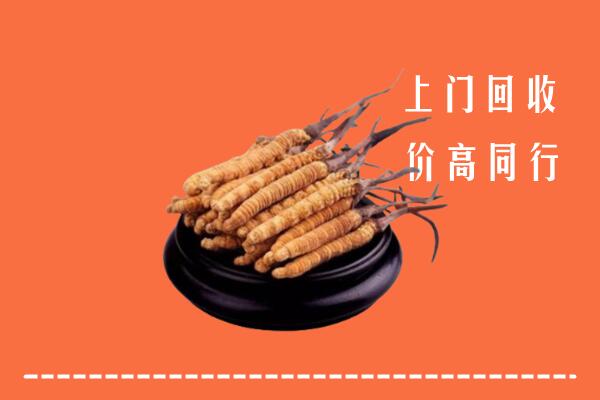 高价求购：安泽县回收散虫草
