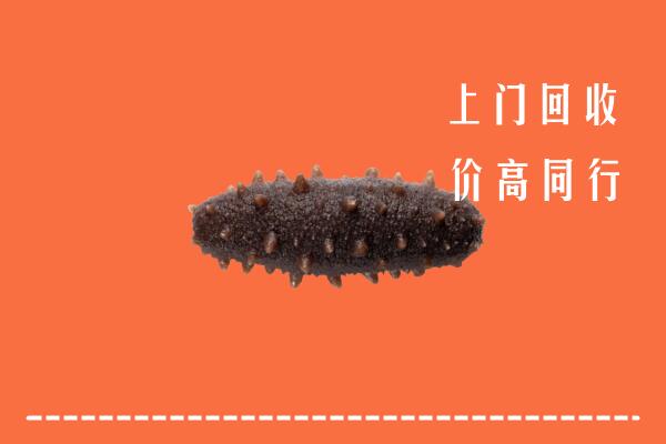 高价求购：安泽县回收海参