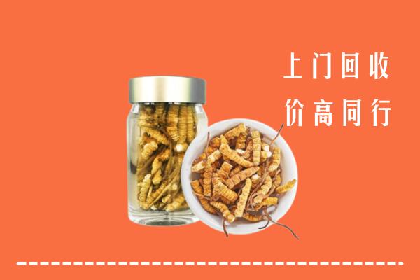 安泽县回收冬虫夏草